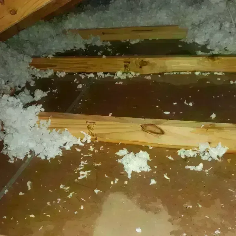 Attic Water Damage in Industry, PA