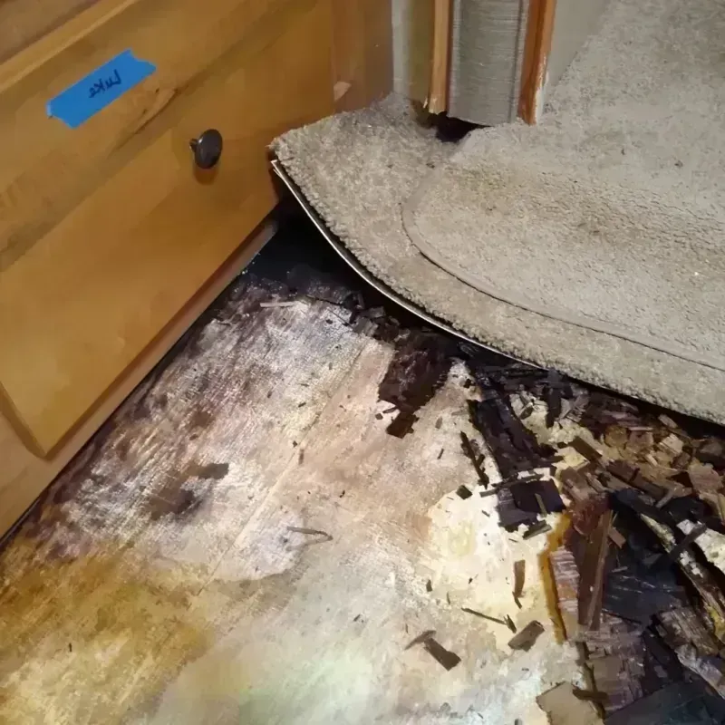 Best Wood Floor Water Damage Service in Industry, PA